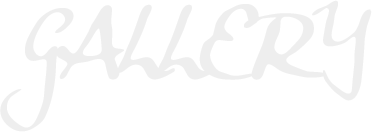 갤러리