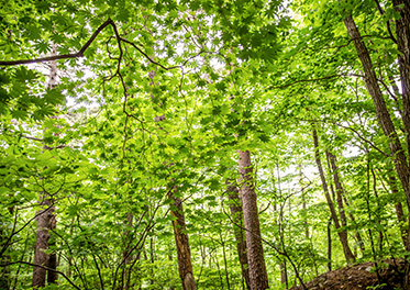 도지동 코아루 그랑블